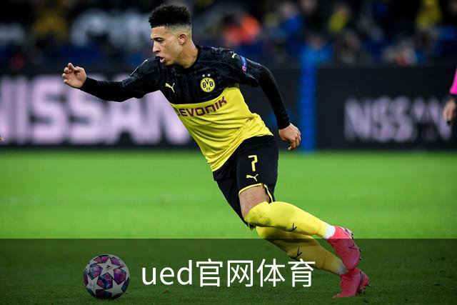 ued官网体育公司简介图片
